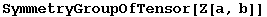 SymmetryGroupOfTensor[Z[a, b]]