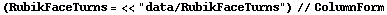(RubikFaceTurns = <<"data/RubikFaceTurns")//ColumnForm